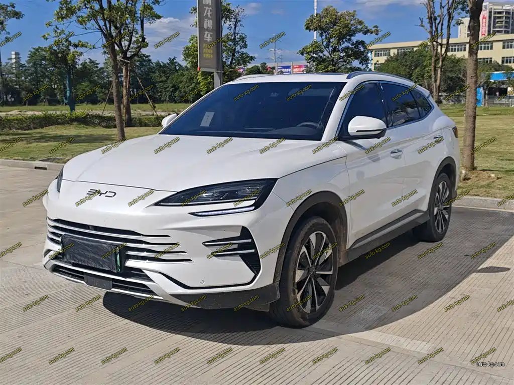 BYD PLUS New Energy 2025