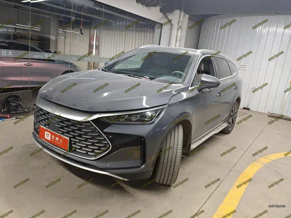 BYD Tang New Energy 2024