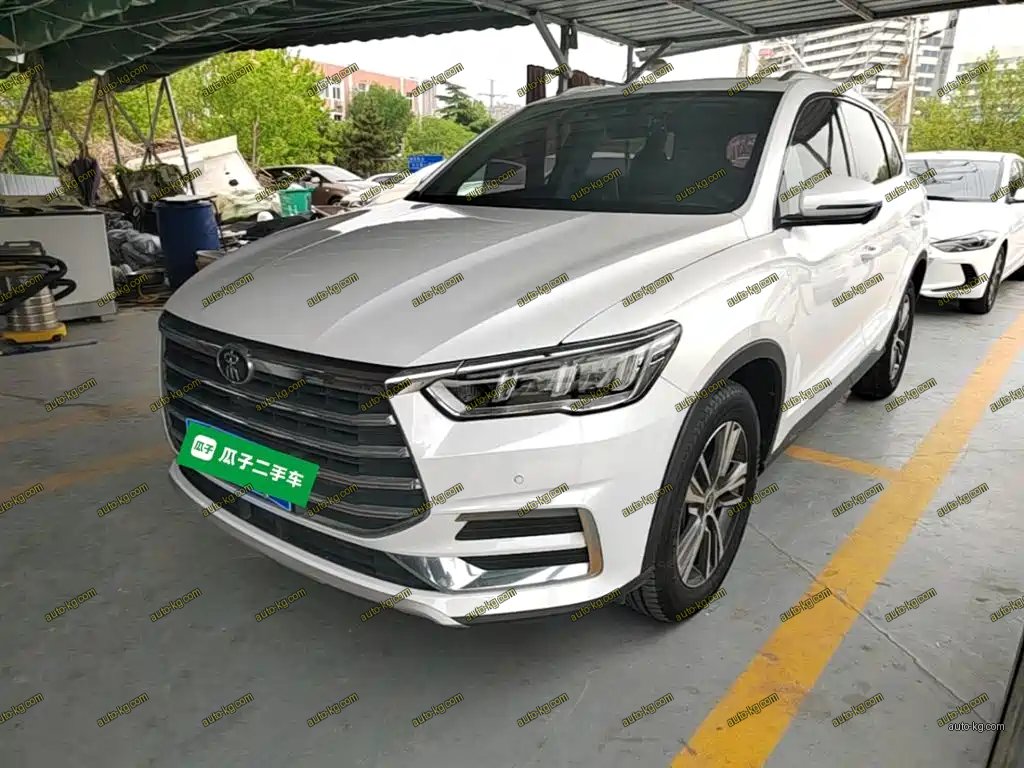 BYD Pro 2020