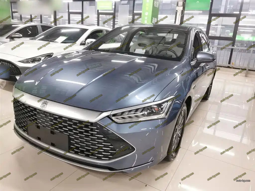 BYD Qin PLUS 2024