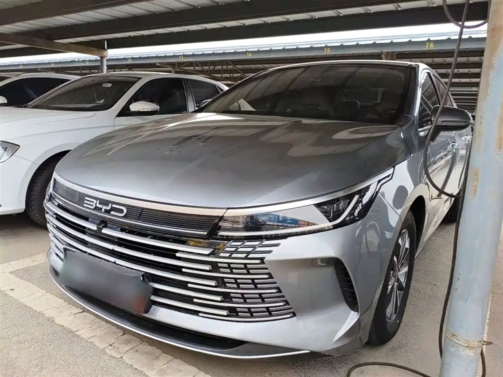 BYD Destroyer 05 2024