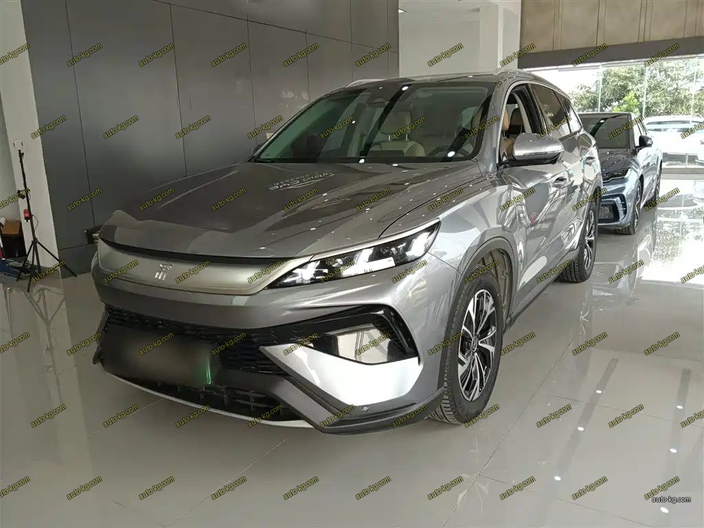 BYD Pro New Energy 2025
