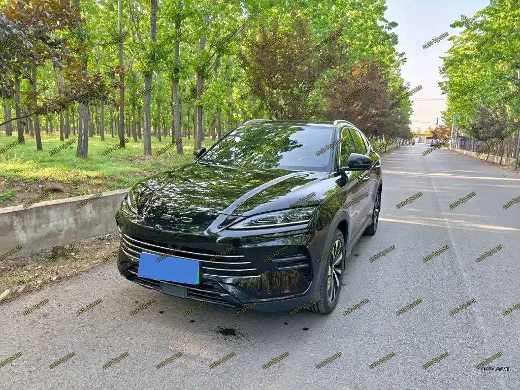 BYD PLUS New Energy 2024