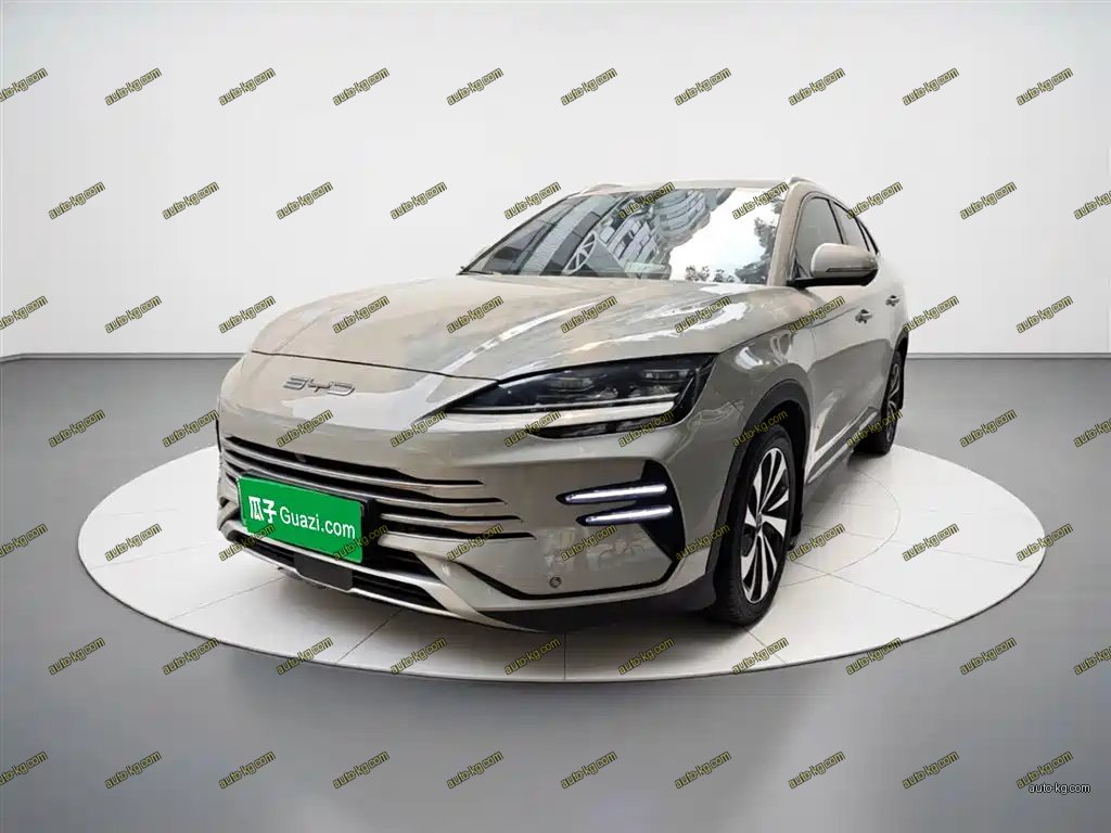 BYD PLUS New Energy 2023