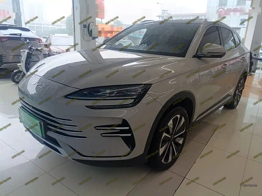 BYD PLUS New Energy 2024
