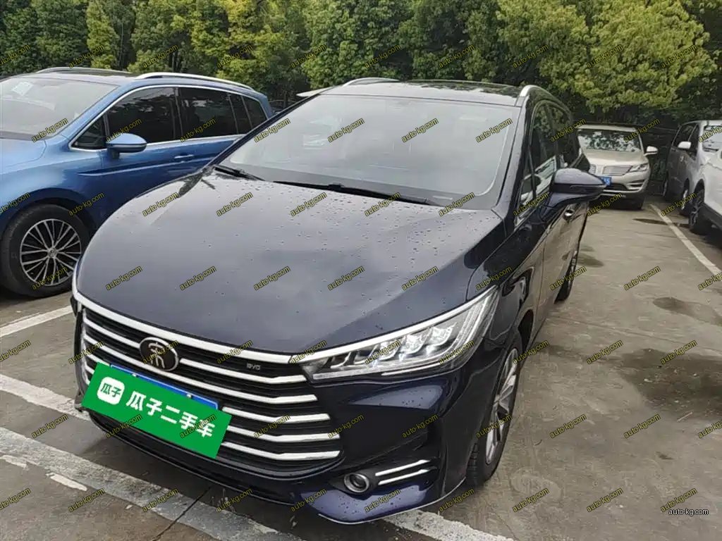 BYD MAX 2019