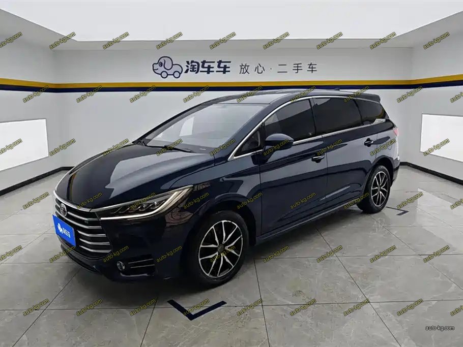 BYD MAX 2019