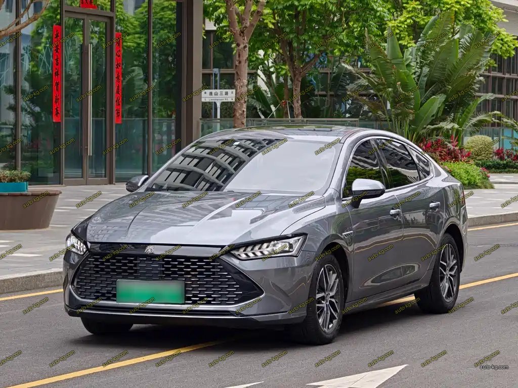 BYD Qin PLUS 2022