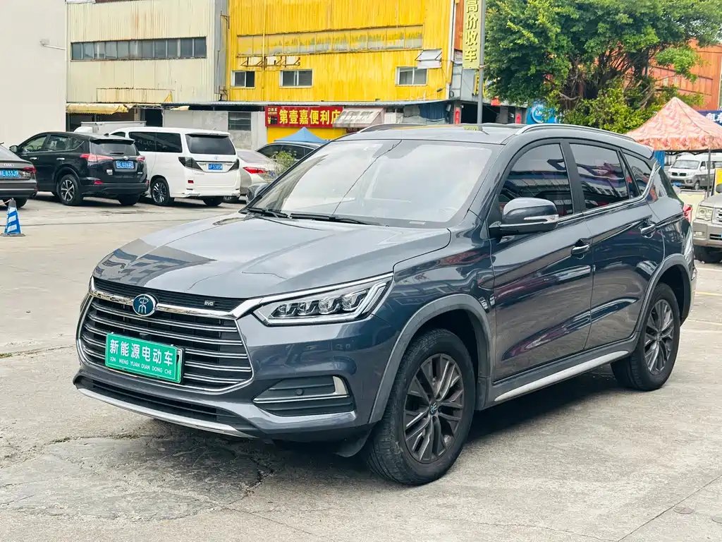 BYD New Energy 2019