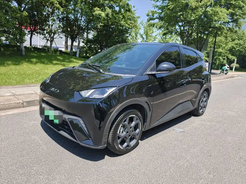 BYD Seagull 2024