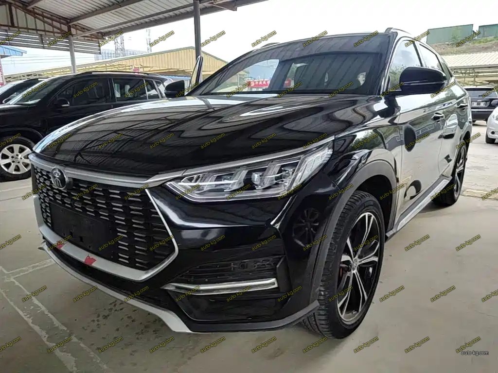 BYD PLUS 2021