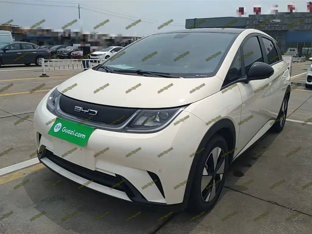 BYD Dolphin 2023