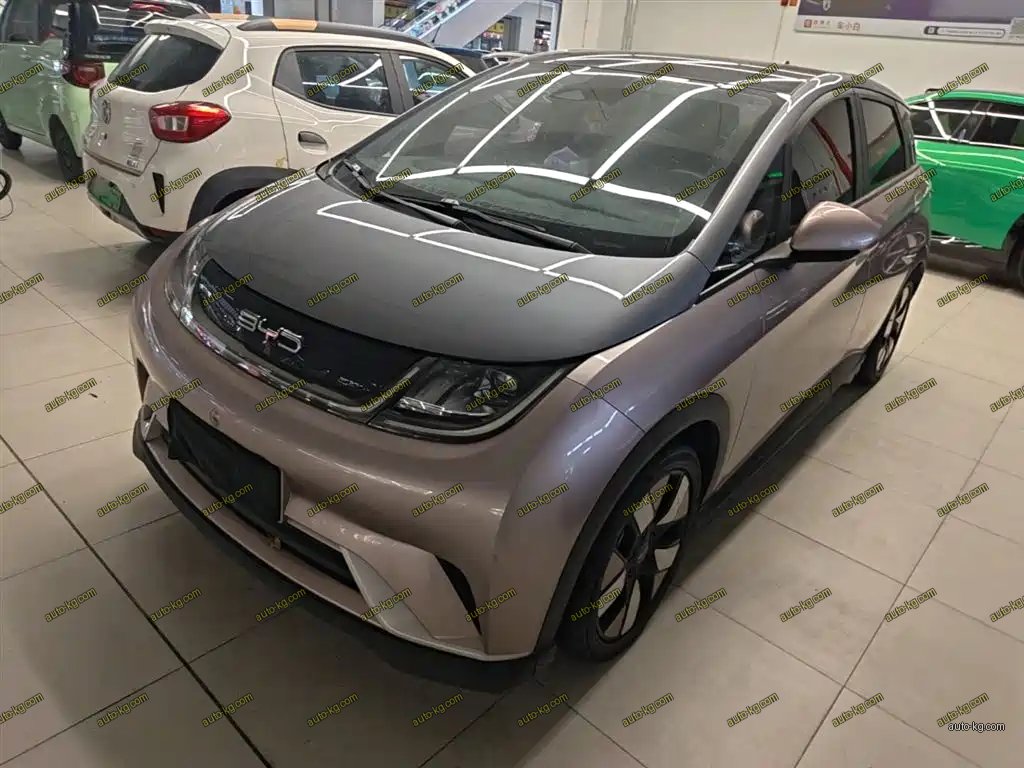 BYD Dolphin 2023