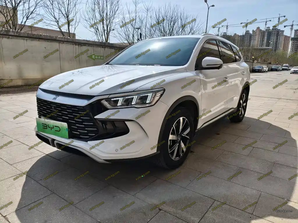 BYD Pro New Energy 2024