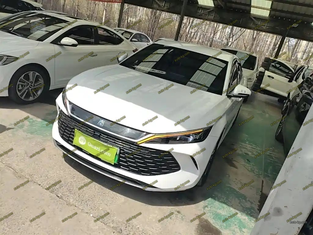BYD Qin L 2024