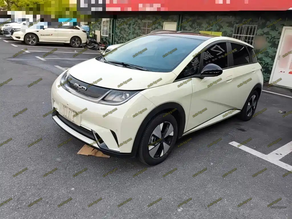 BYD Dolphin 2024