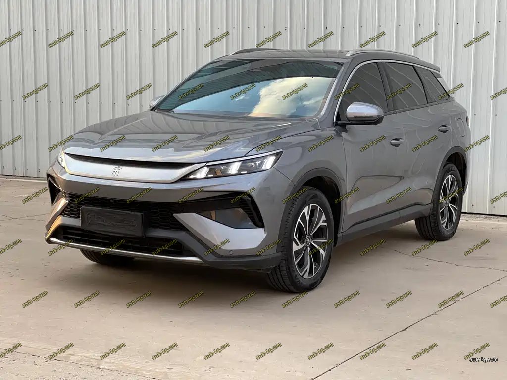 BYD Pro New Energy 2025