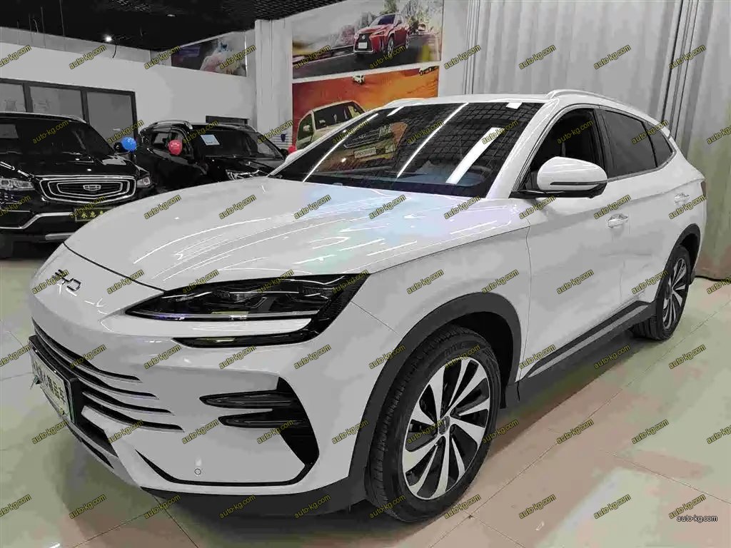 BYD PLUS New Energy 2024