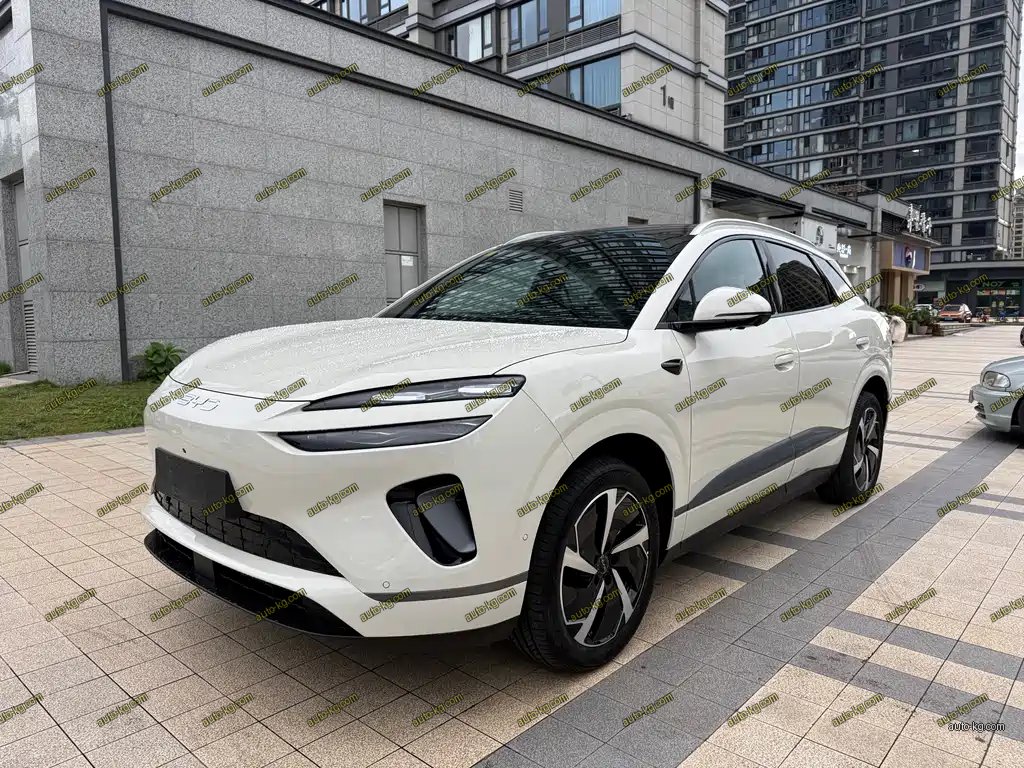 BYD 海狮06 2025
