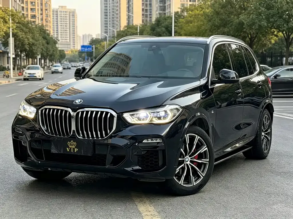 BMW X5 (Import) 2019 — фото 1 из 5