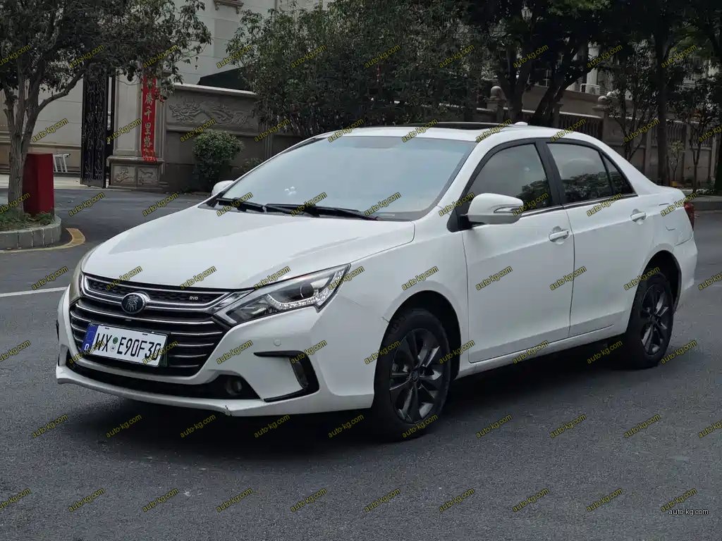 BYD Qin NEV 2018