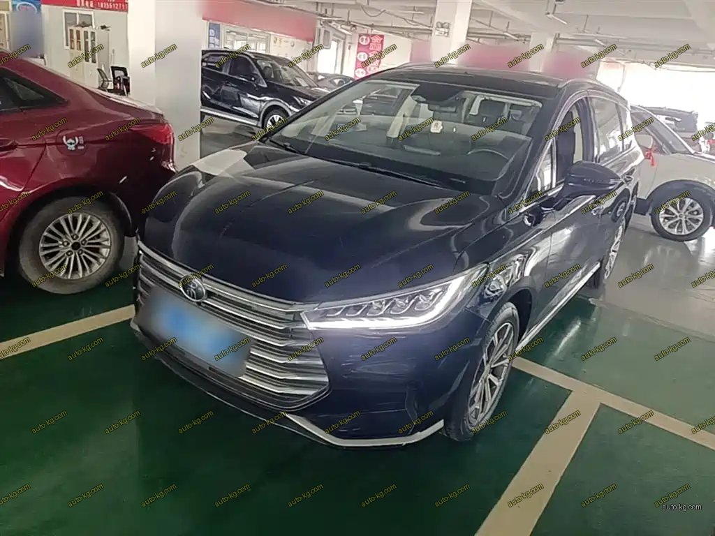 BYD MAX 2020