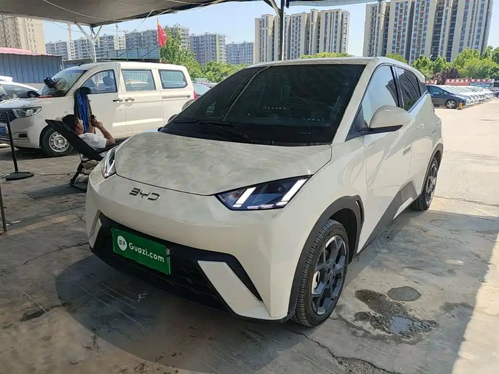 BYD Seagull 2024