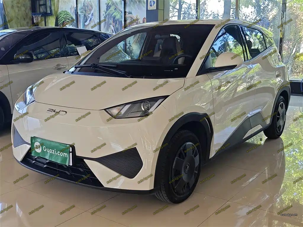 BYD Seagull 2025