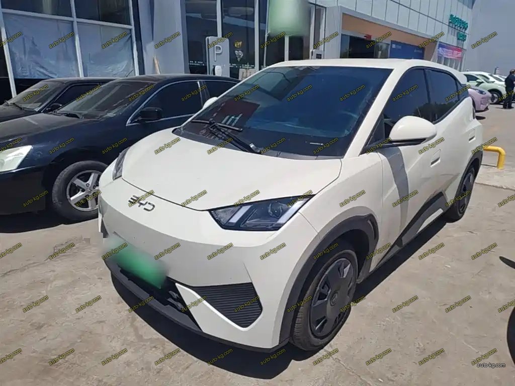 BYD Seagull 2025