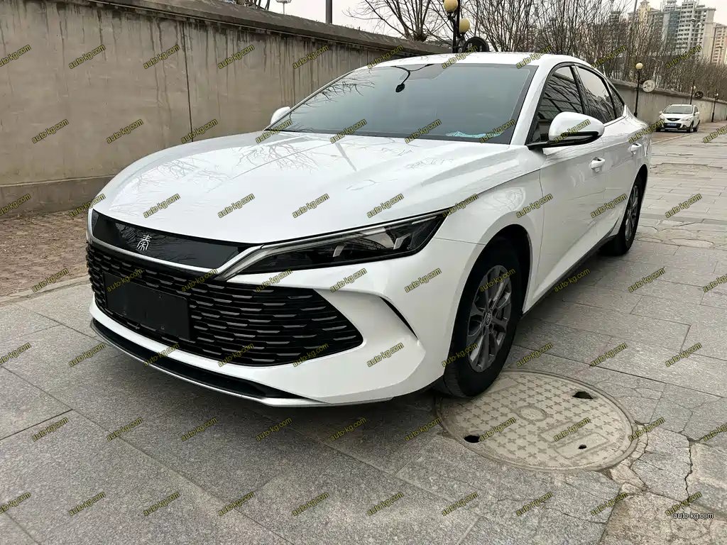 BYD Qin L 2024