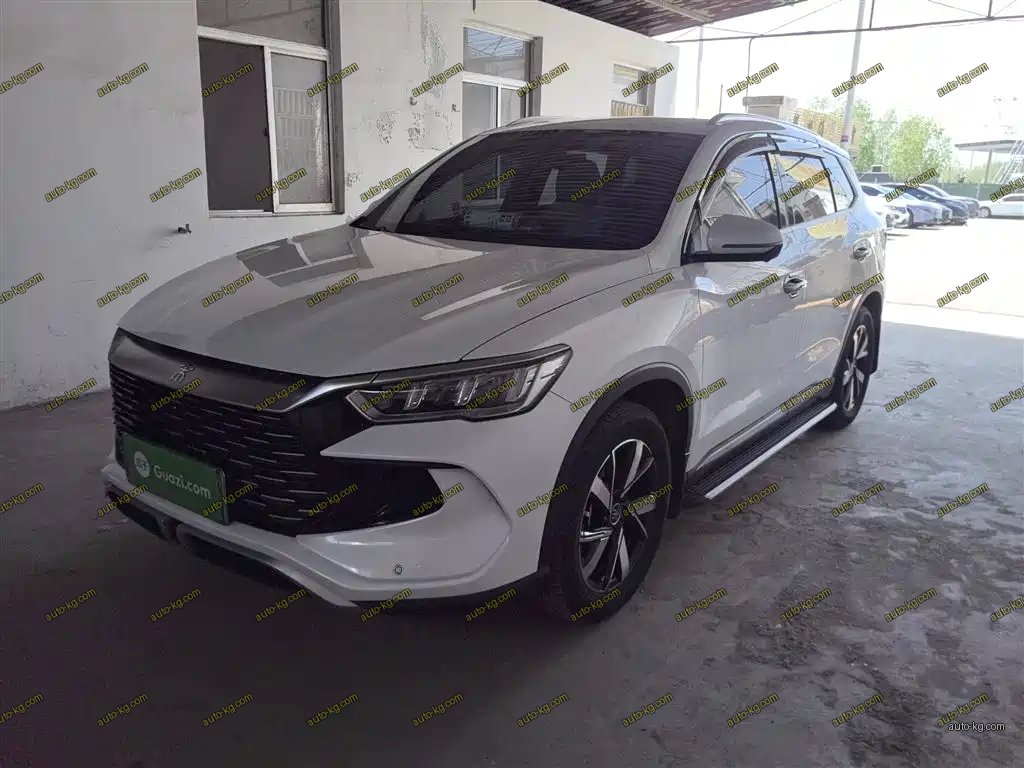 BYD Pro New Energy 2024