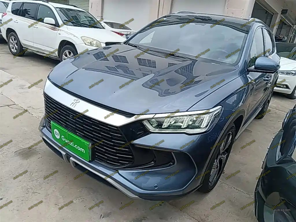 BYD Pro New Energy 2024