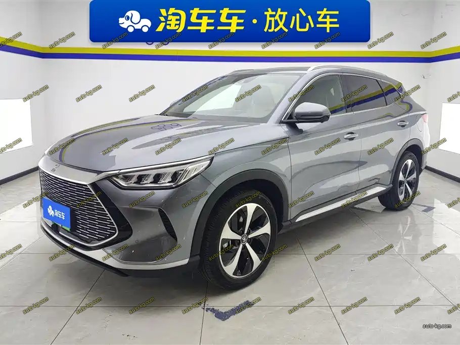 BYD PLUS New Energy 2022