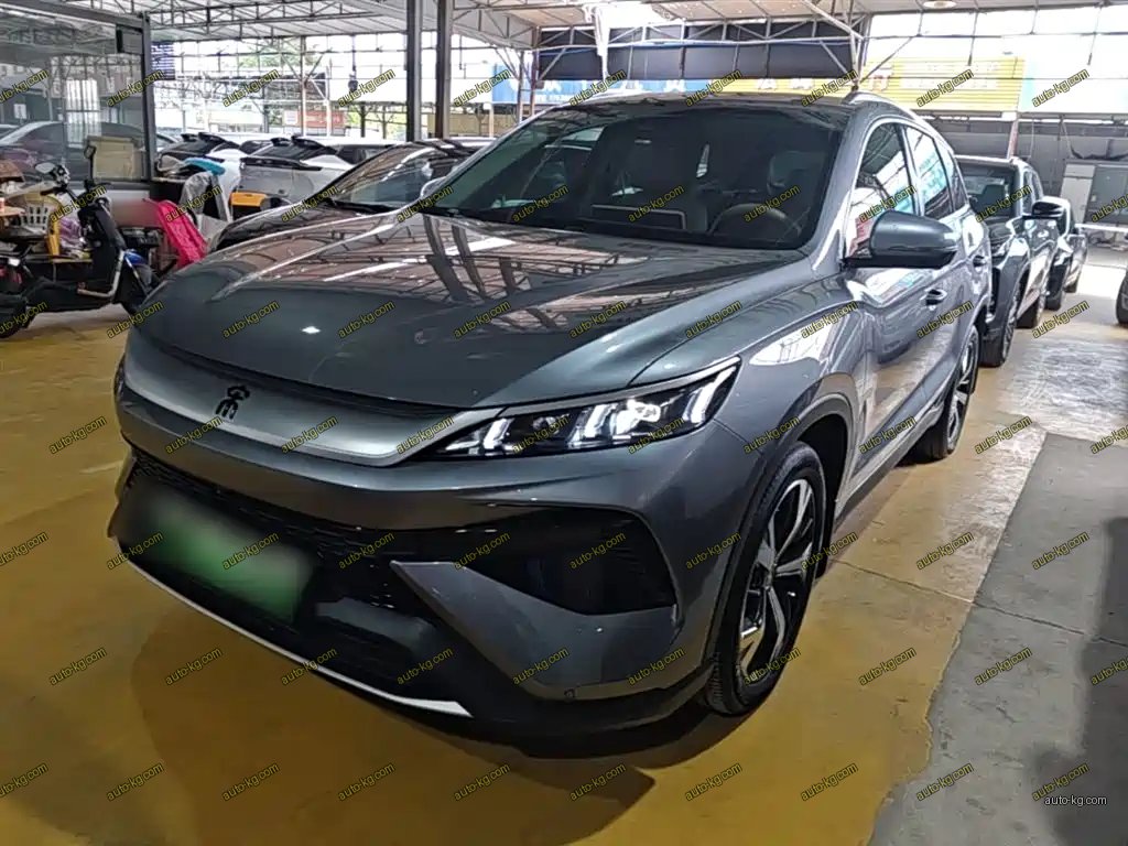 BYD Pro New Energy 2024