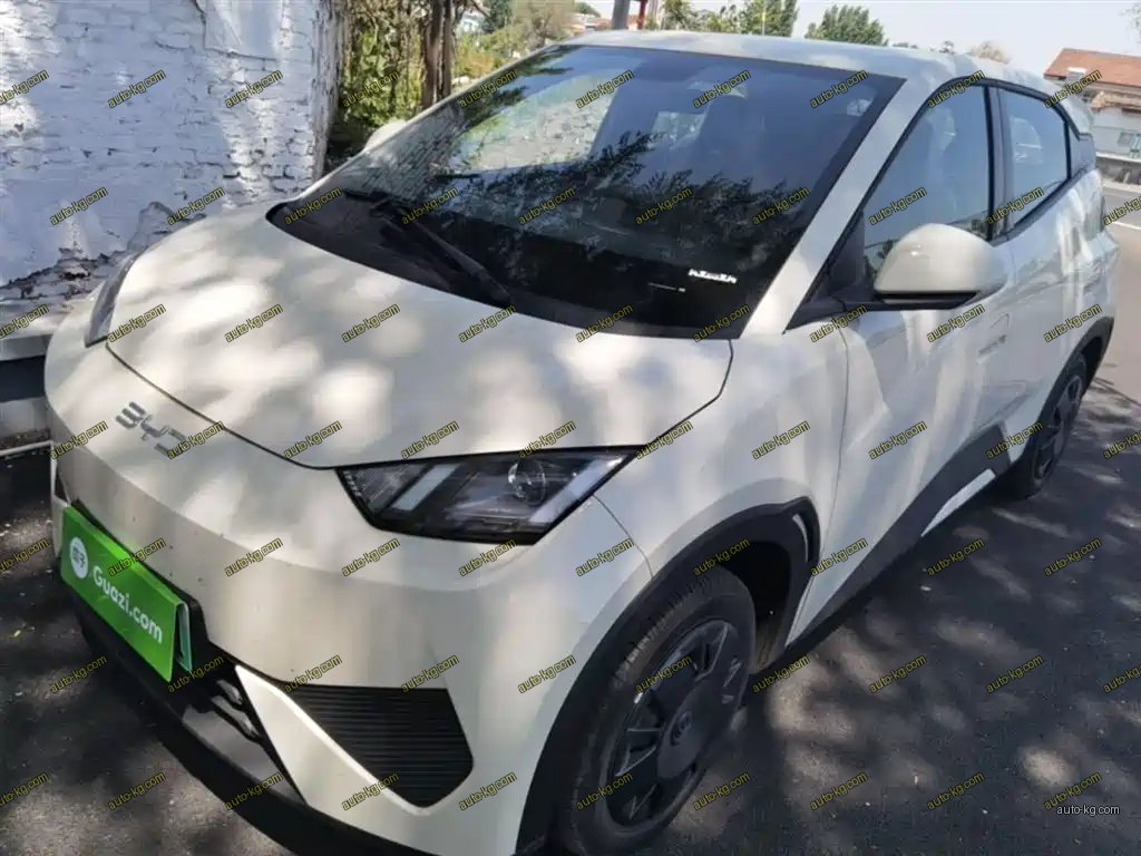 BYD Seagull 2026