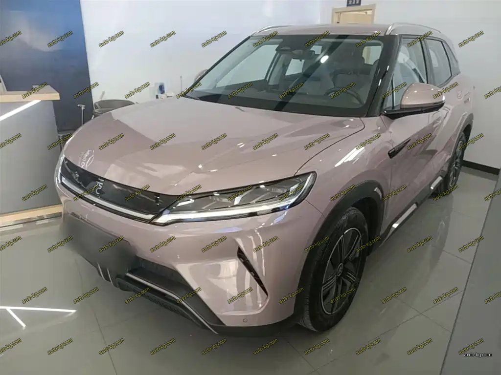 BYD Yuan UP 2024