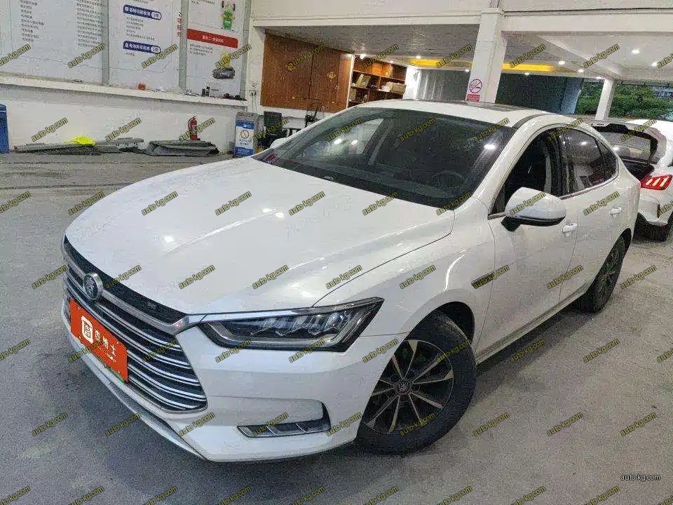 BYD Qin Pro NEV 2019