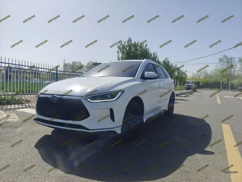 BYD e2 2020