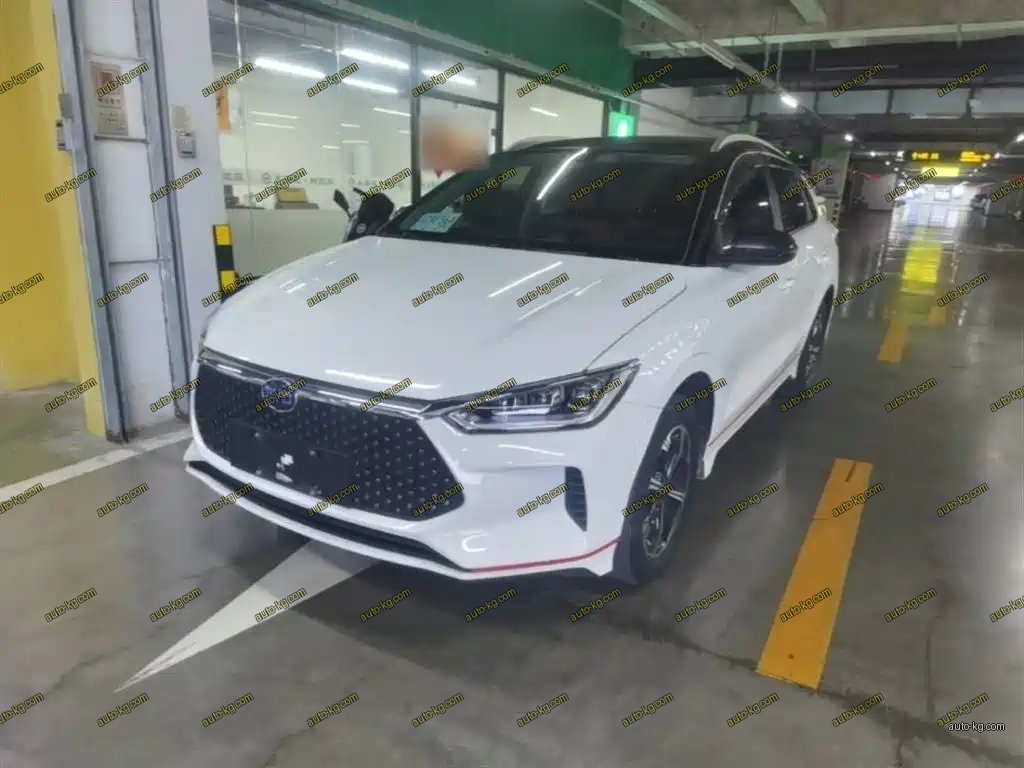 BYD e2 2021