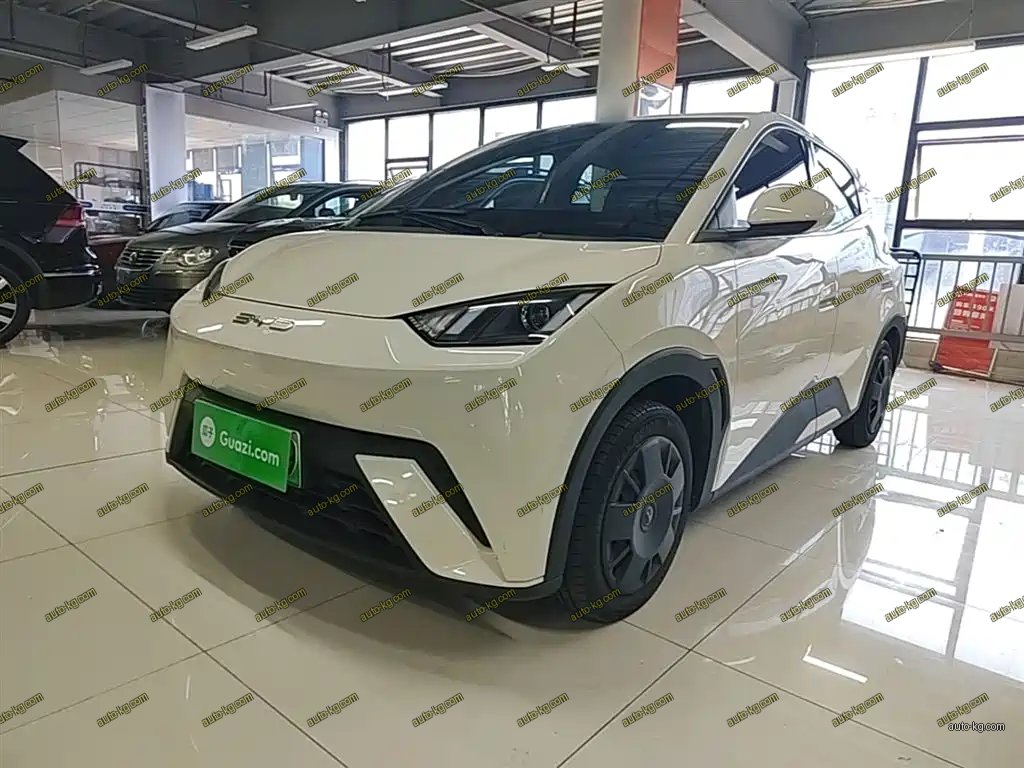 BYD Seagull 2024