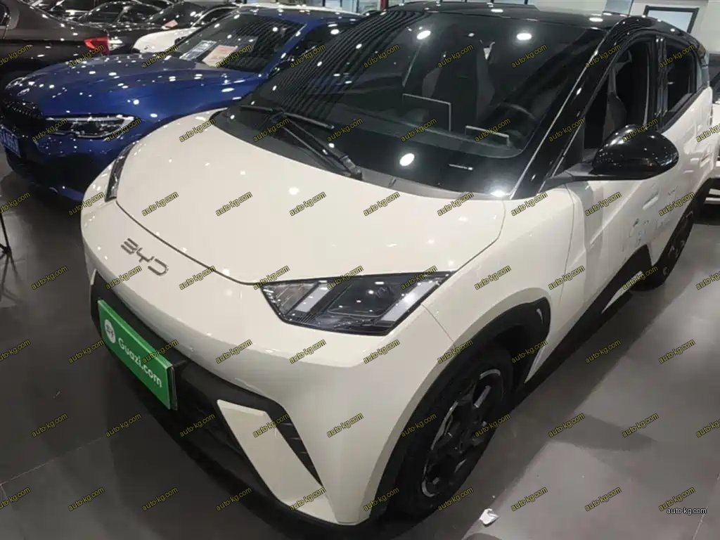 BYD Seagull 2024