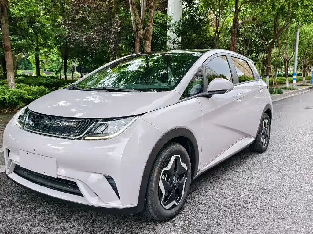 BYD Dolphin 2022