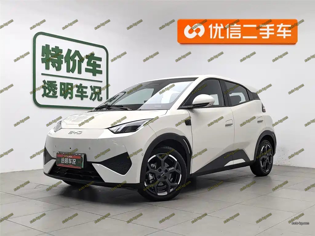 BYD Seagull 2025