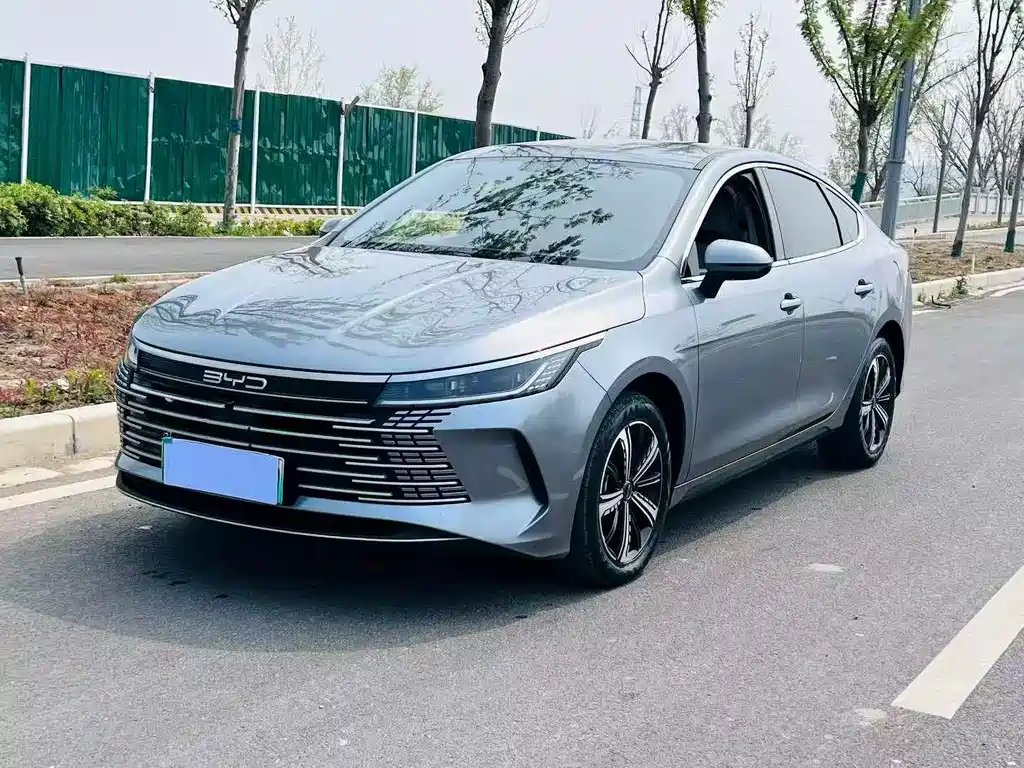 BYD Destroyer 05 2024