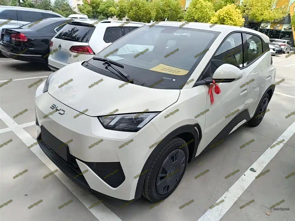 BYD Seagull 2026
