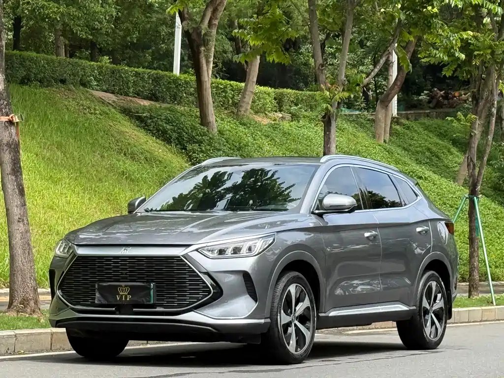 BYD PLUS New Energy 2022