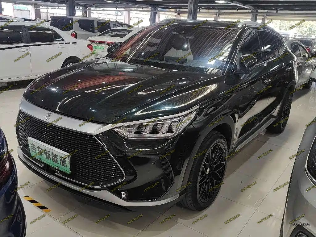 BYD PLUS New Energy 2022