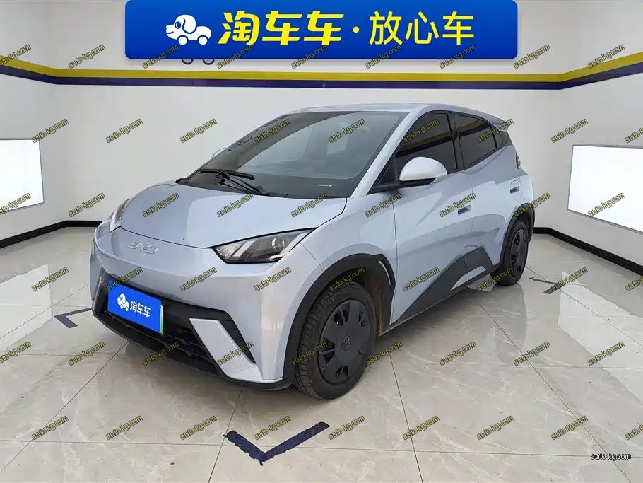 BYD Seagull 2024