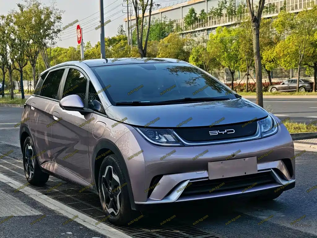 BYD Dolphin 2021