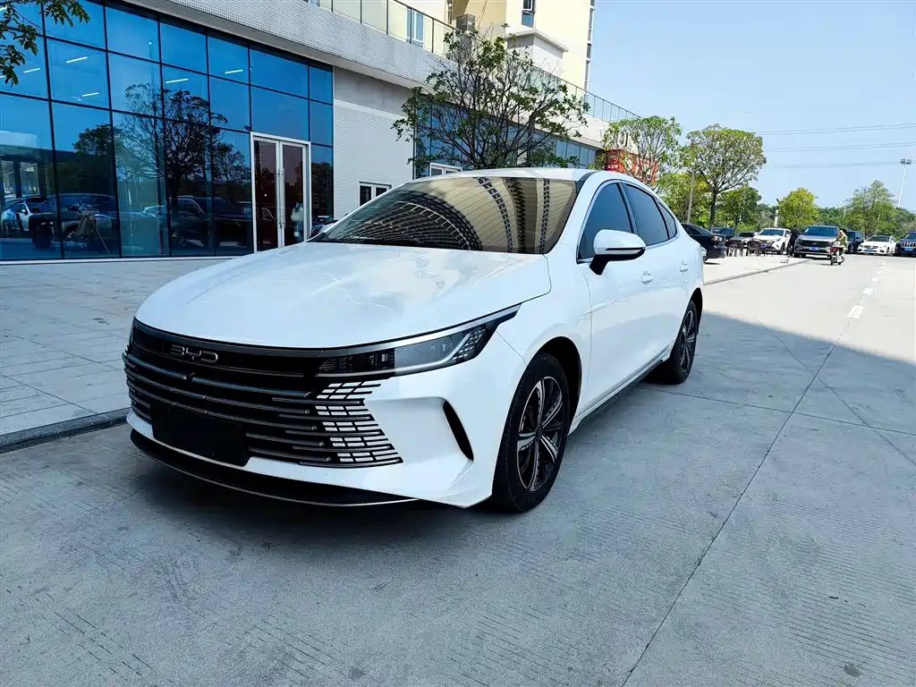 BYD Destroyer 05 2024
